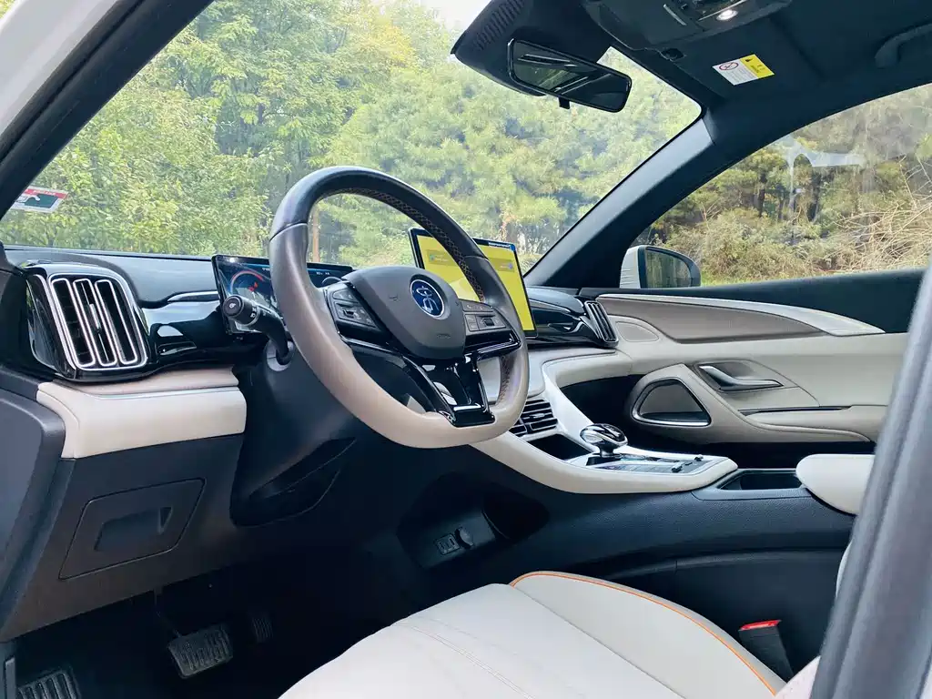BYD Pro New Energy — фото 9