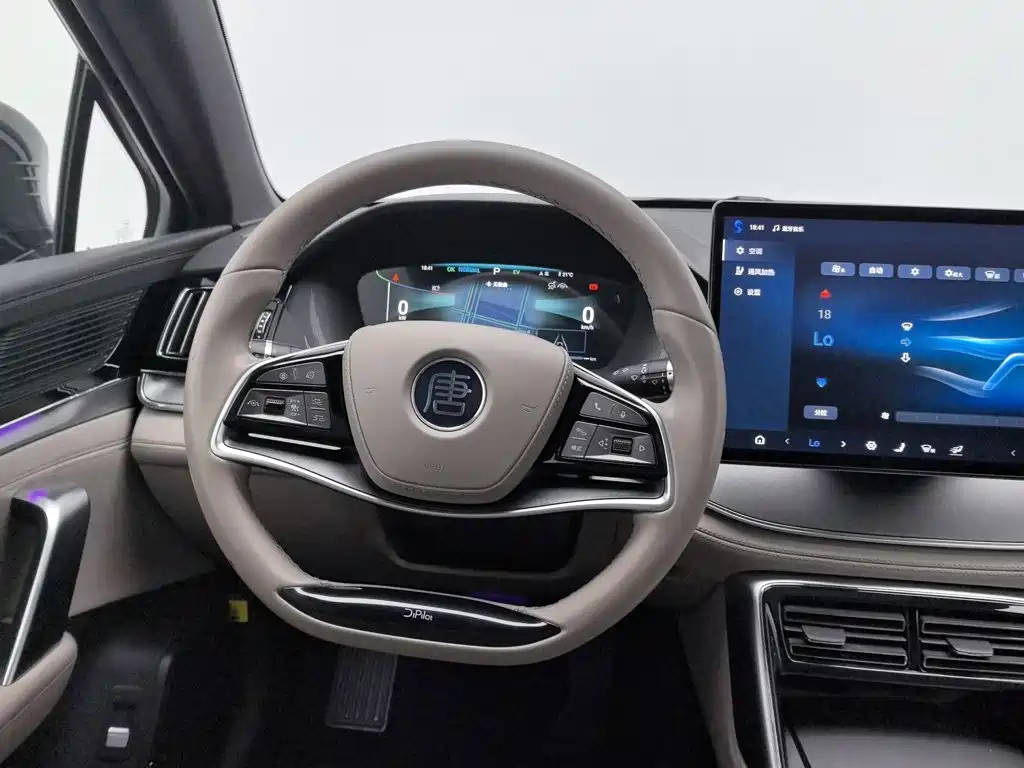BYD Tang New Energy — фото 11
