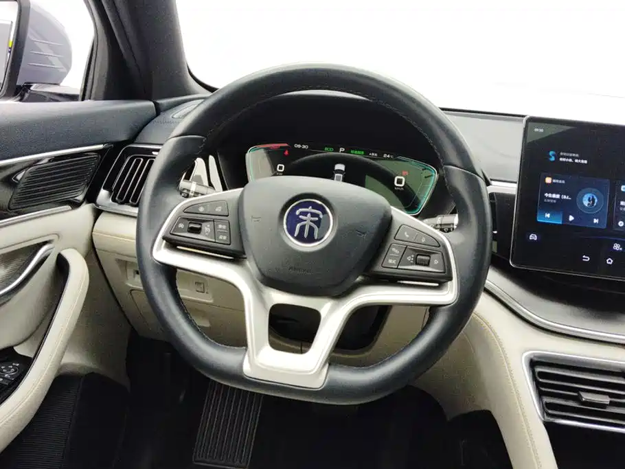 BYD PLUS New Energy — фото 15