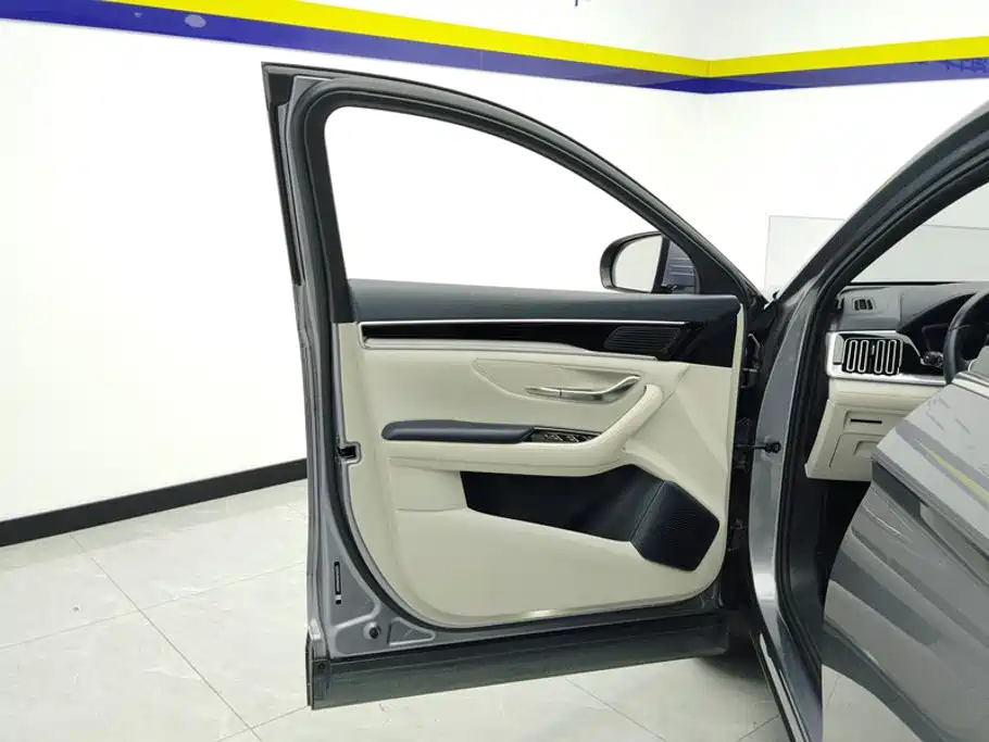 BYD PLUS New Energy — фото 7