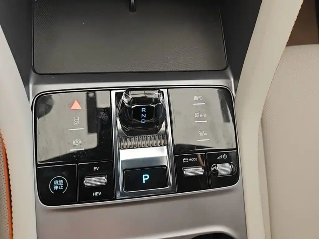 BYD PLUS New Energy — фото 14