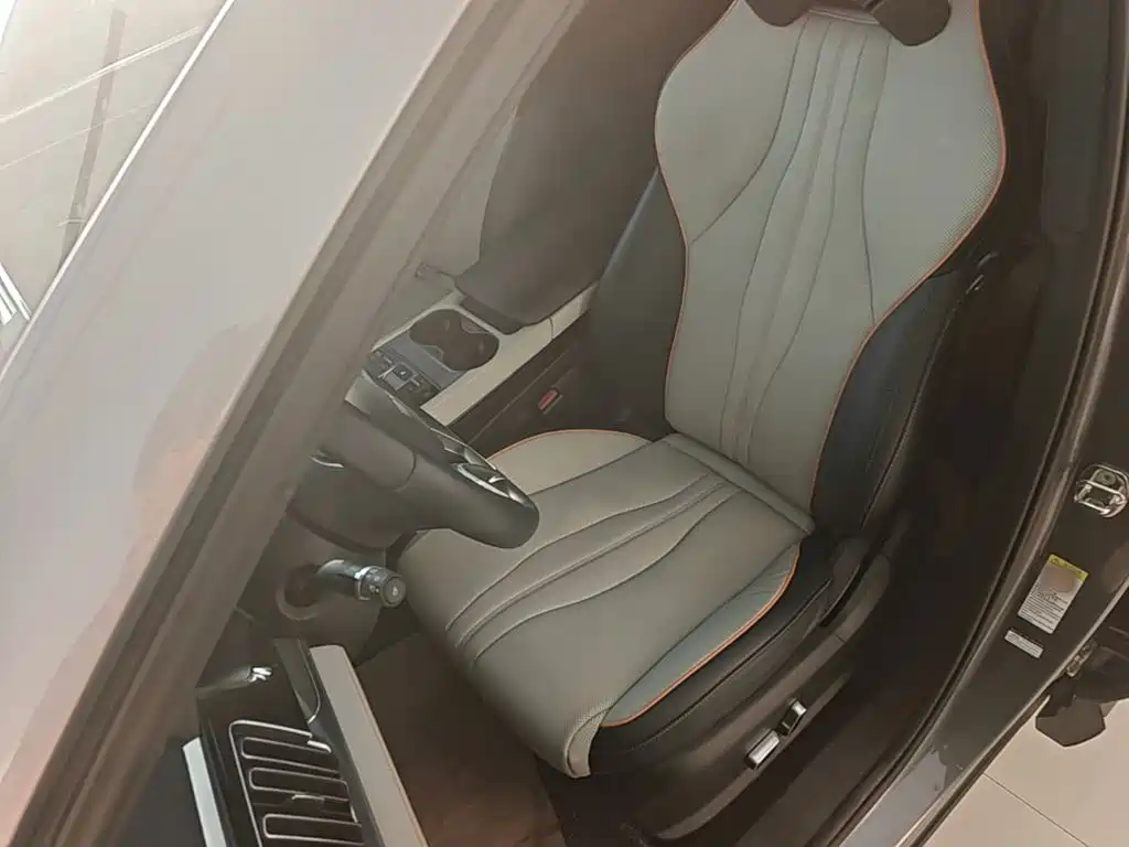 BYD PLUS New Energy — фото 15