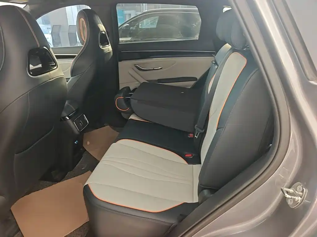 BYD PLUS New Energy — фото 17
