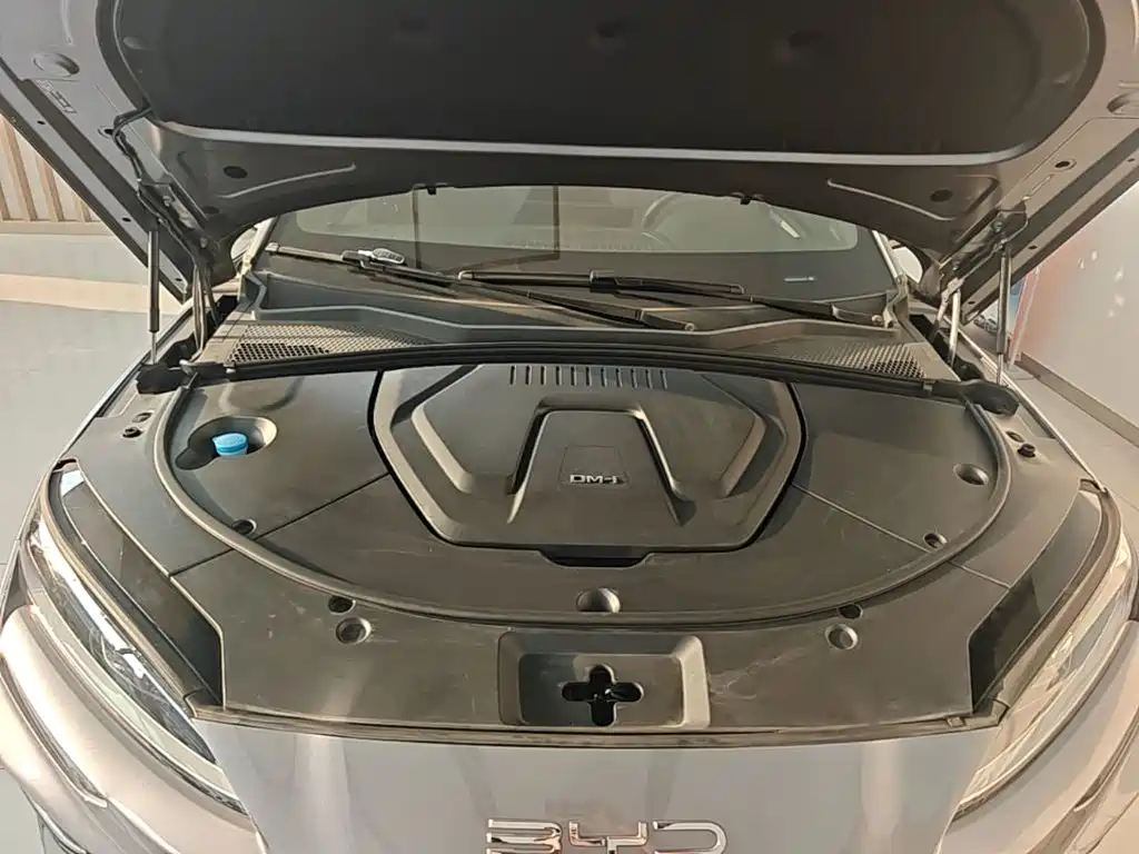 BYD PLUS New Energy — фото 20
