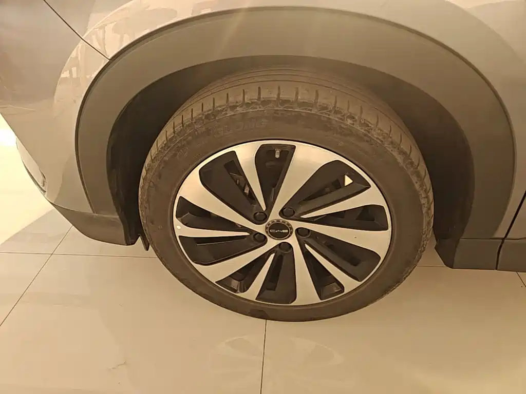 BYD PLUS New Energy — фото 23