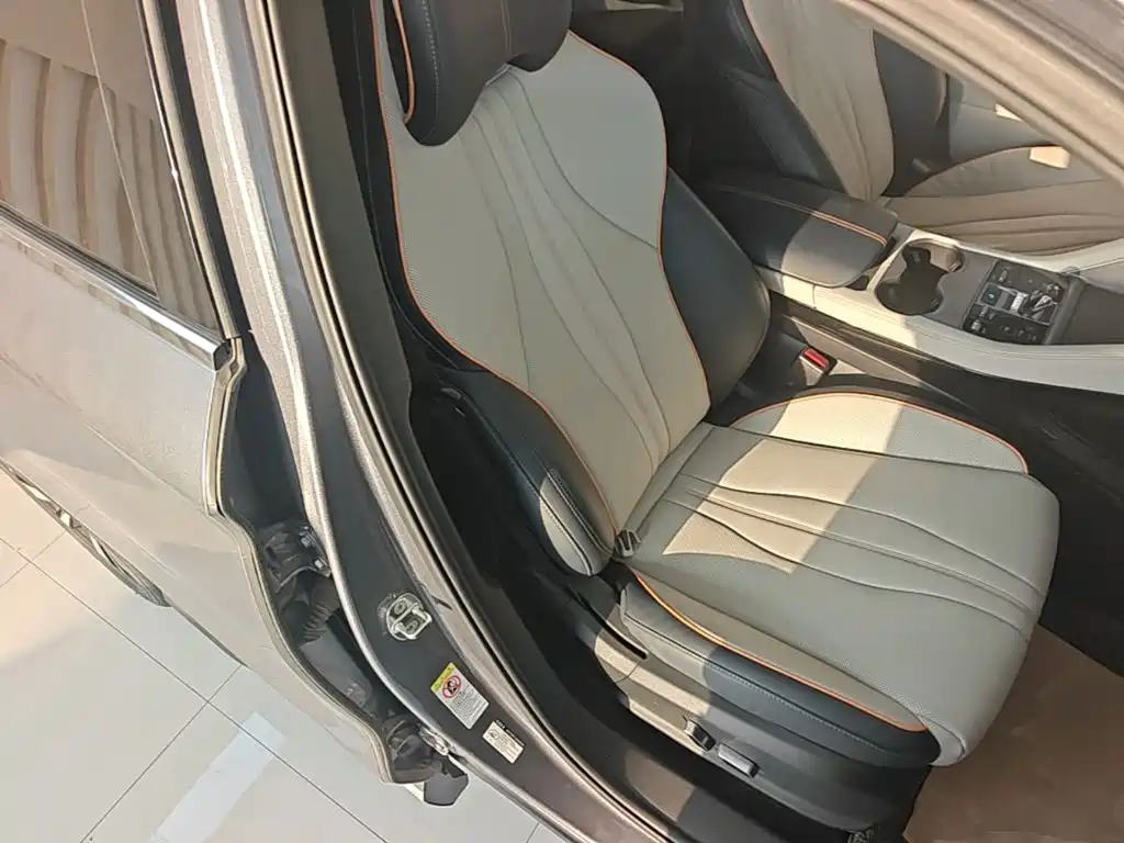 BYD PLUS New Energy — фото 25