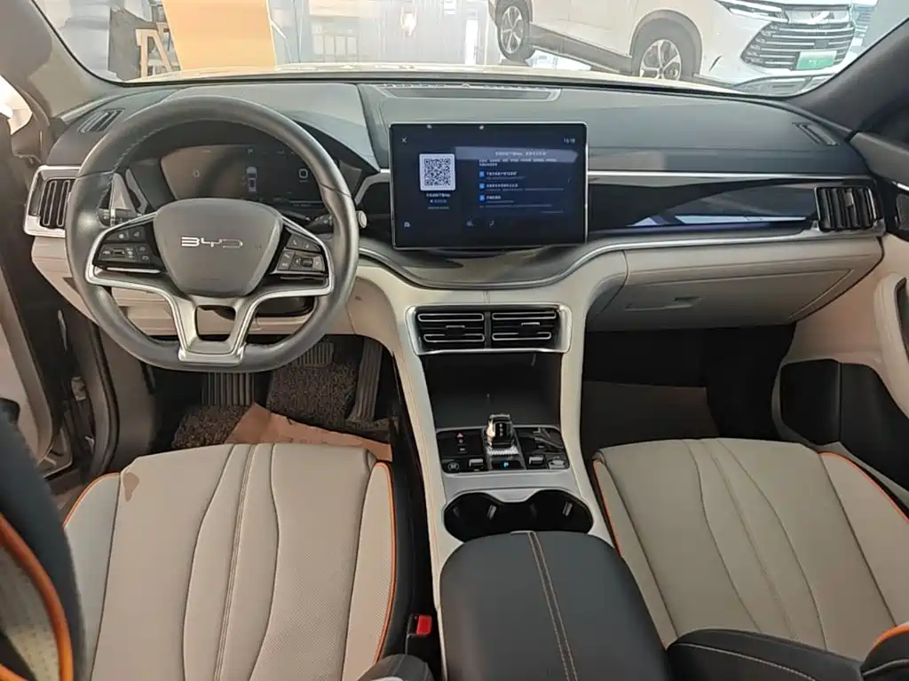 BYD PLUS New Energy — фото 10
