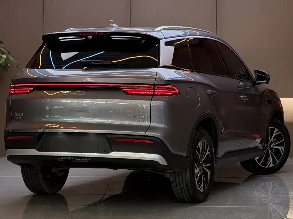 BYD Pro New Energy — фото 20
