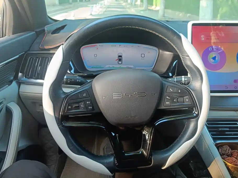 BYD PLUS New Energy — фото 15