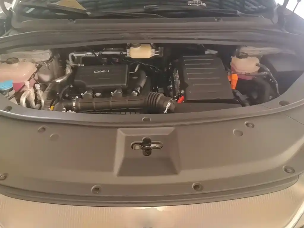 BYD L DM-i — фото 20