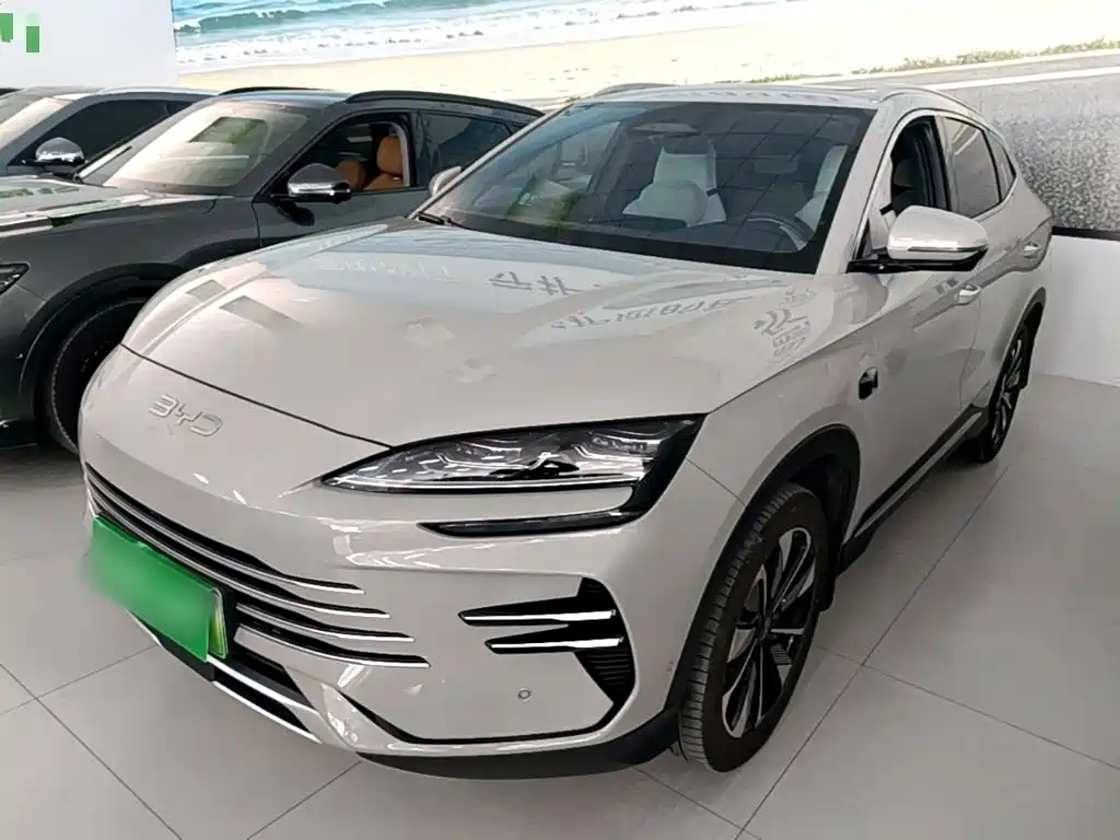 BYD PLUS New Energy — фото 2