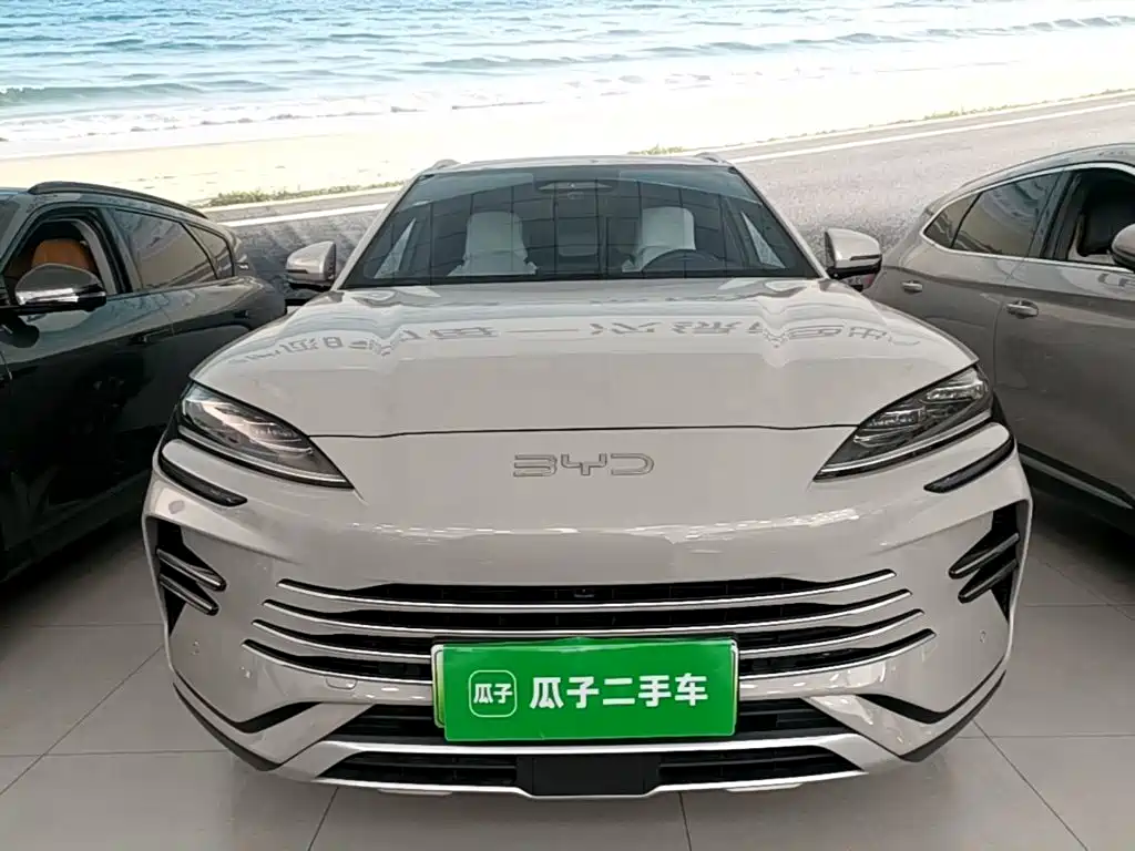 BYD PLUS New Energy — фото 3