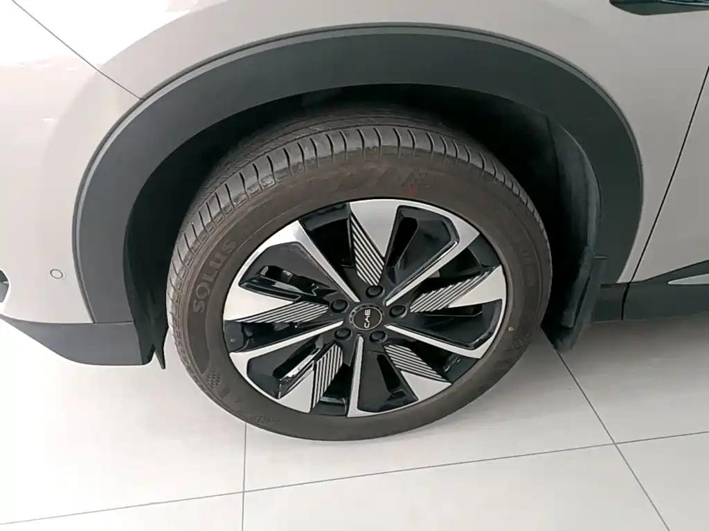 BYD PLUS New Energy — фото 23