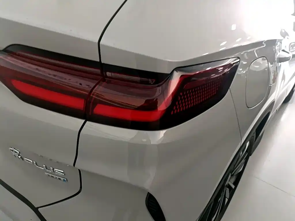 BYD PLUS New Energy — фото 8