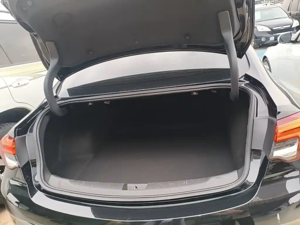 Buick Regal — фото 19