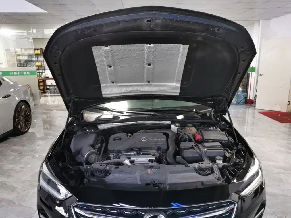 Buick Regal — фото 20