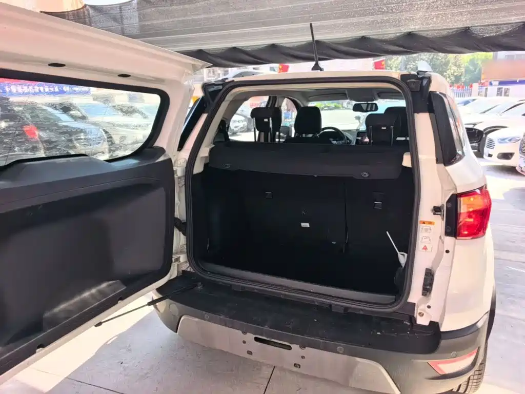 Ford Ecosport — фото 19