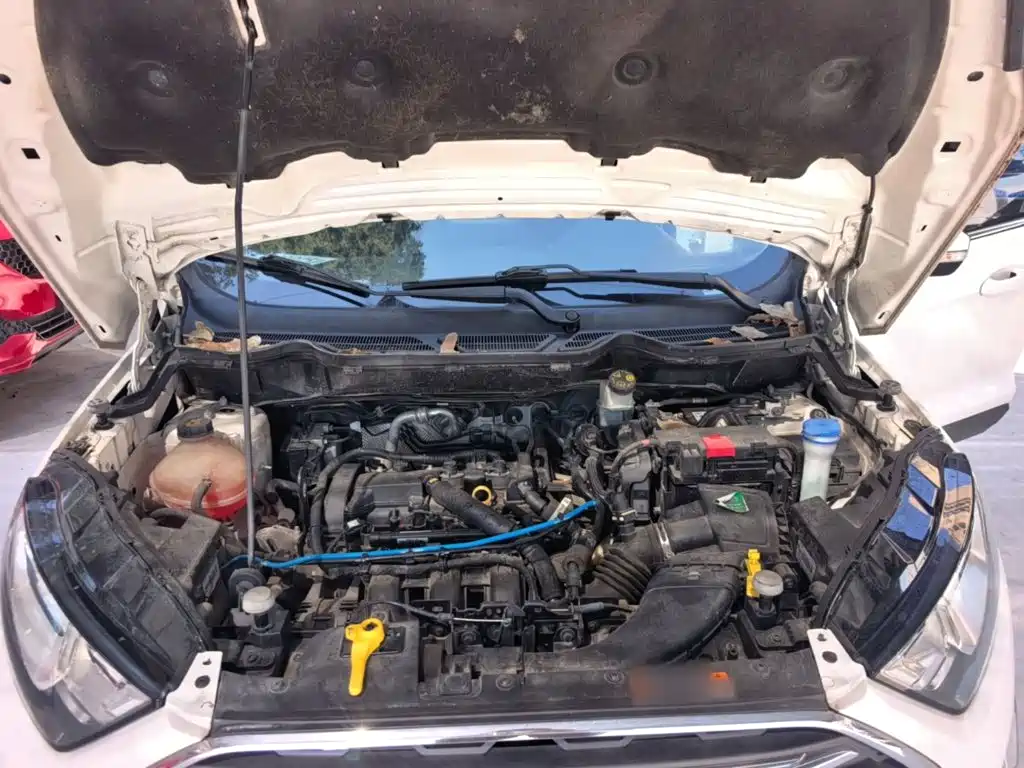 Ford Ecosport — фото 20