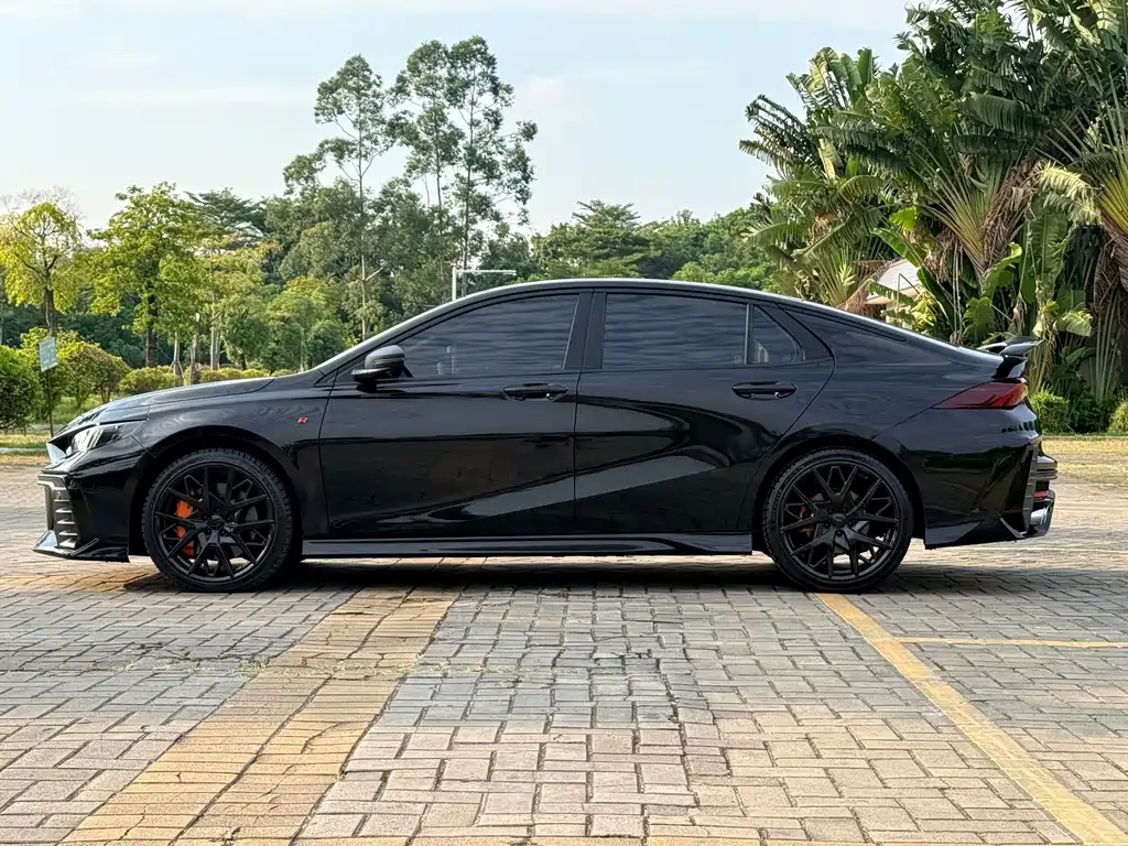 GAC Motor Shadow Leopard — фото 23
