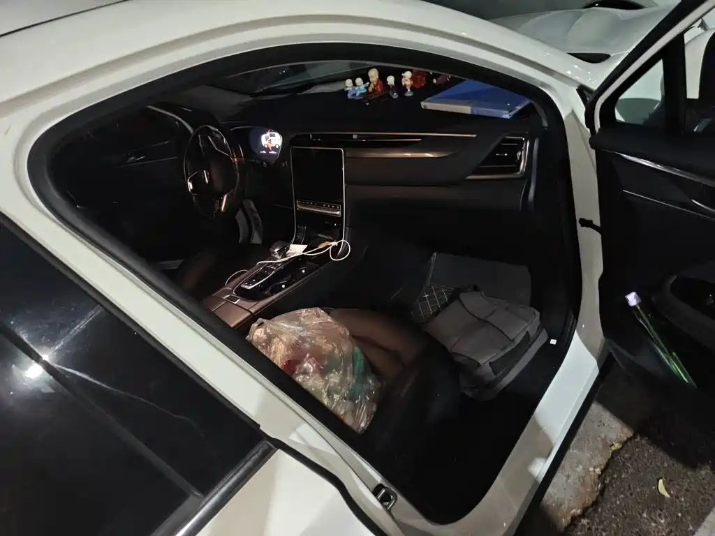 GAC Motor GS4 Plus — фото 19