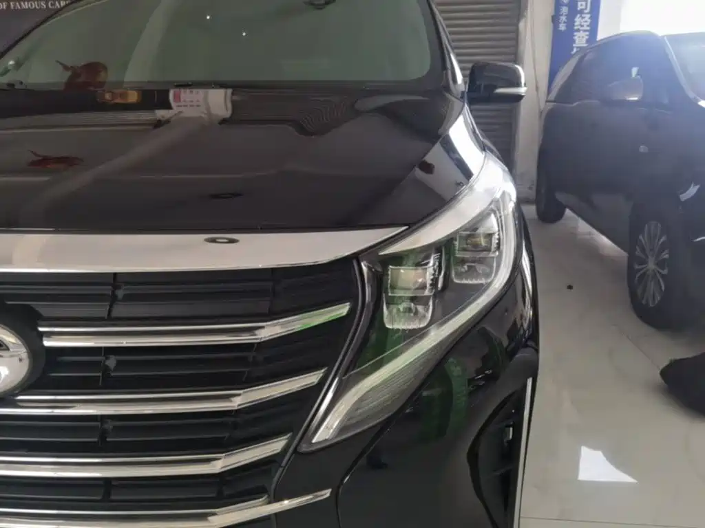 GAC Motor Trumpchi M8 — фото 24