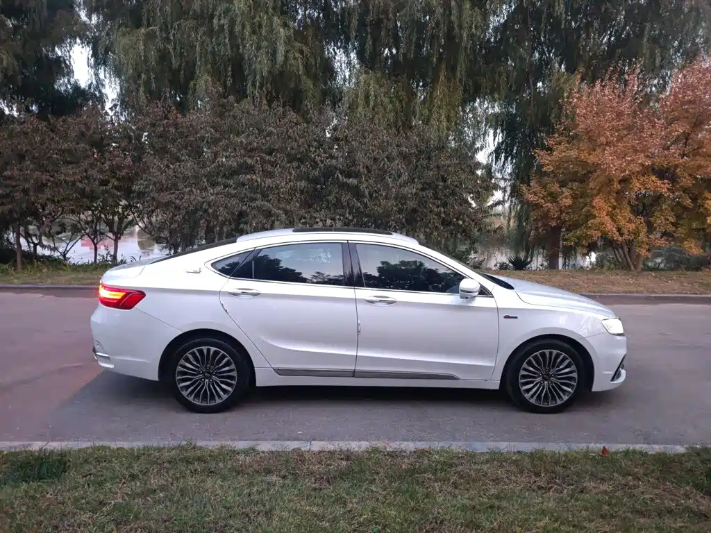 Geely Borui — фото 11