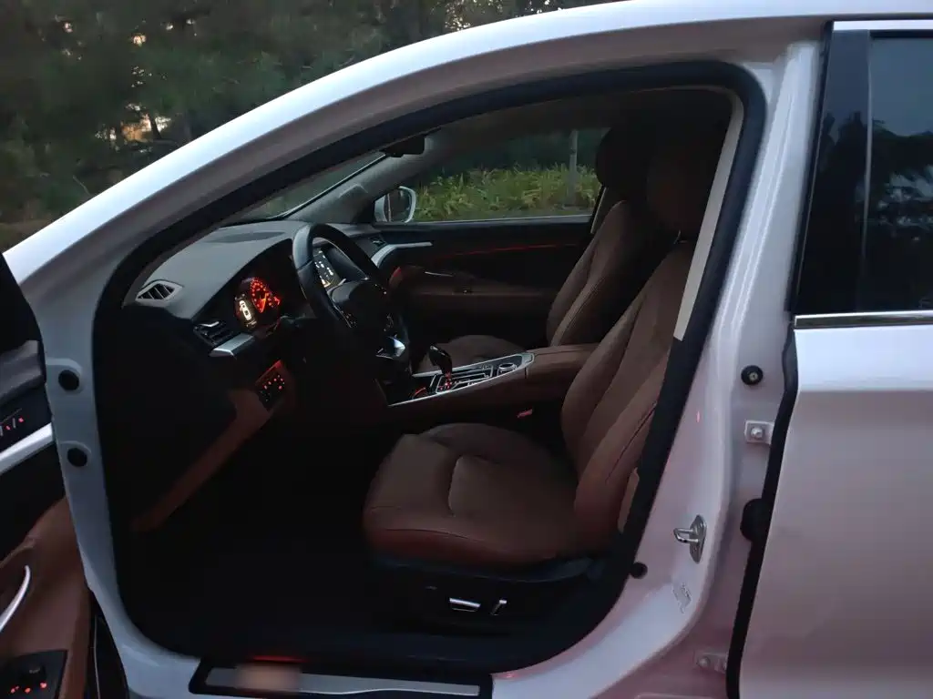 Geely Borui — фото 16