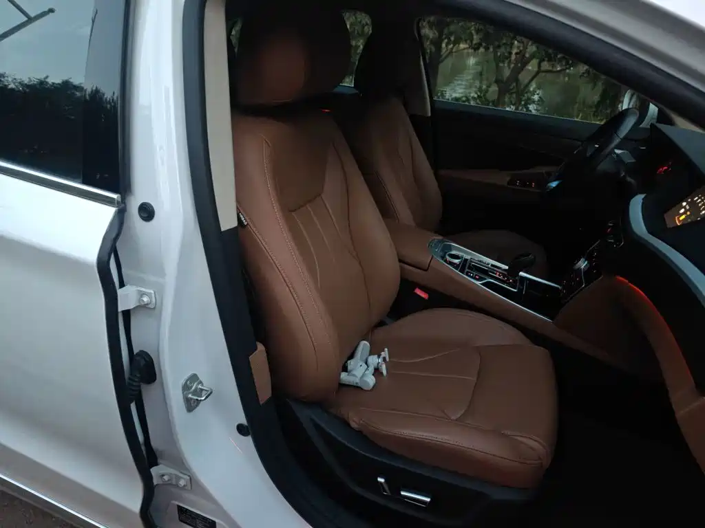 Geely Borui — фото 4