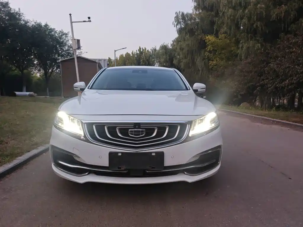 Geely Borui — фото 8