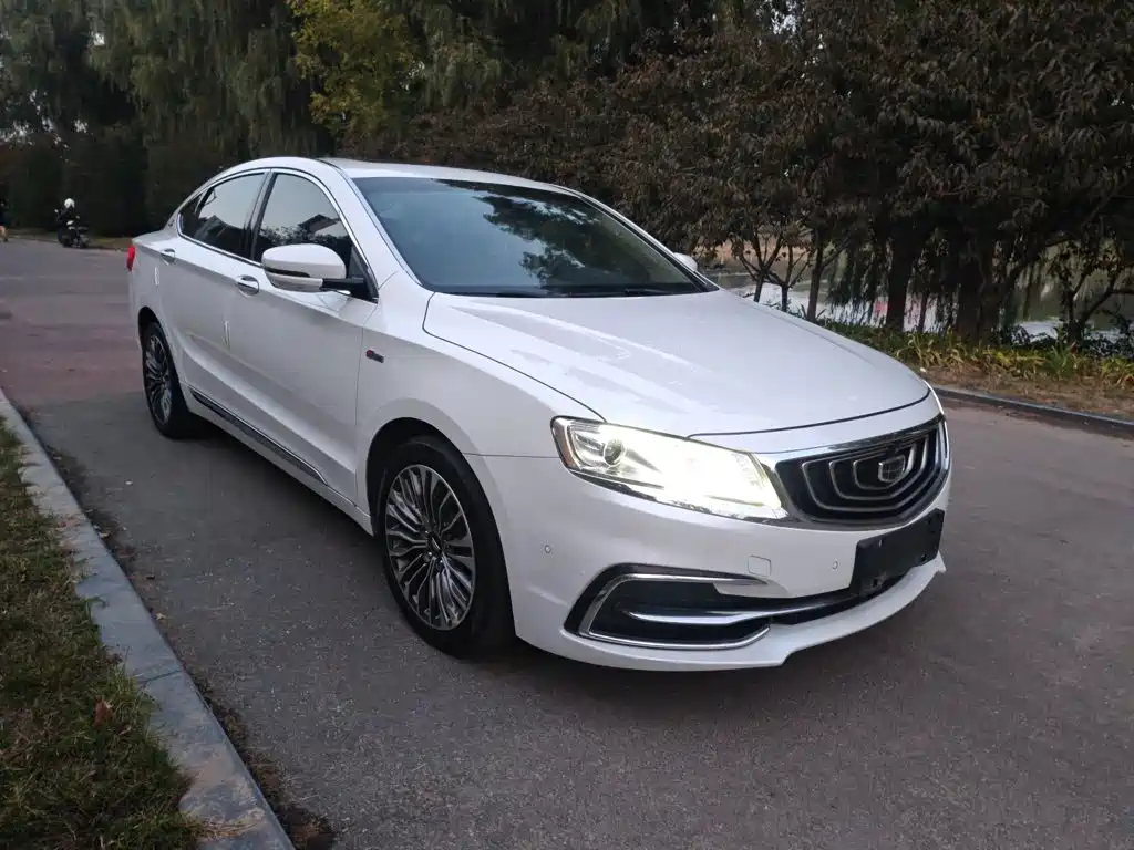 Geely Borui — фото 9
