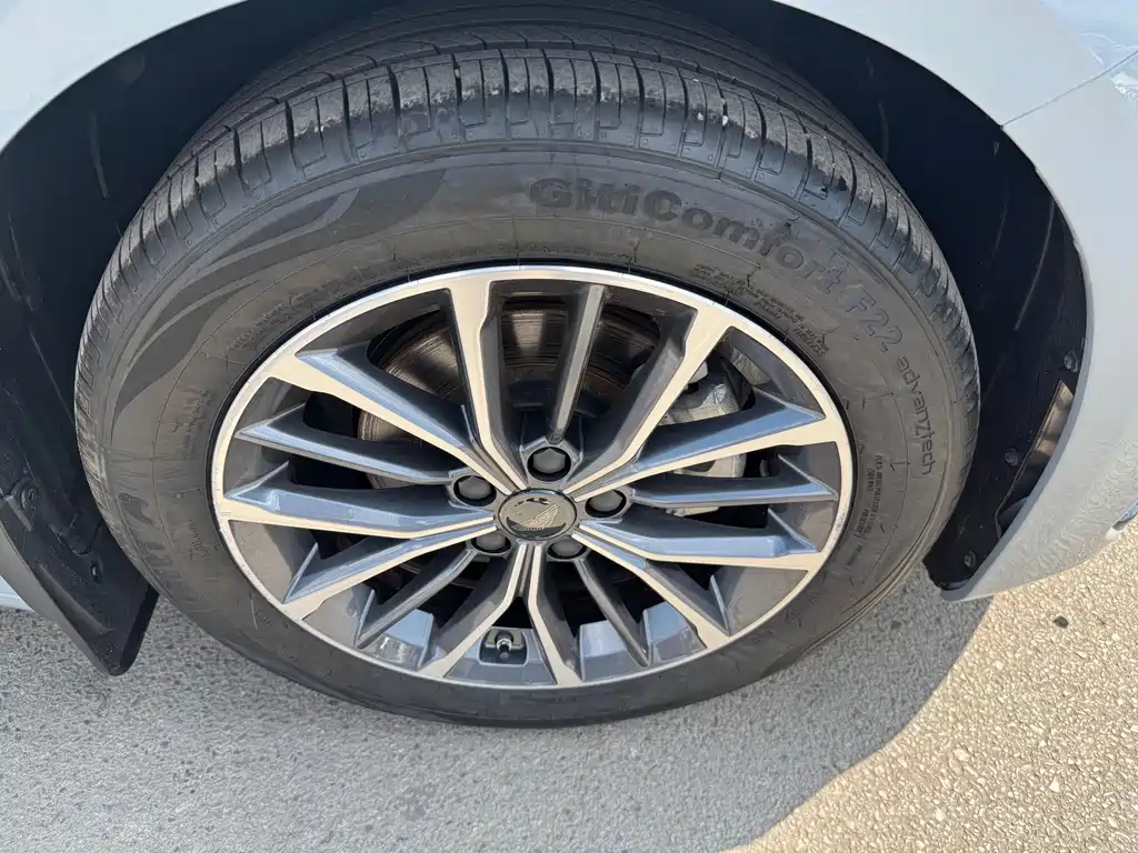 Geely Xingrui — фото 10
