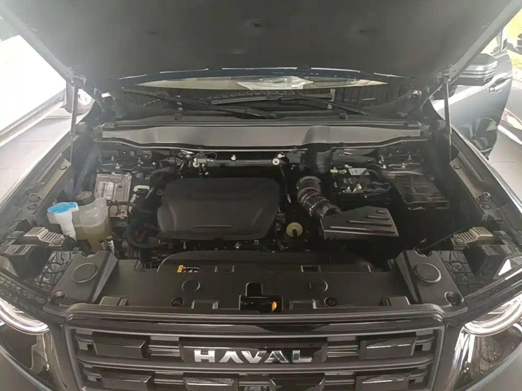 Haval Big Dog — фото 20