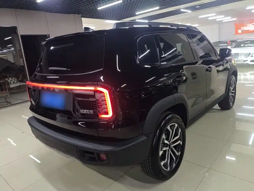 Haval Big Dog — фото 7