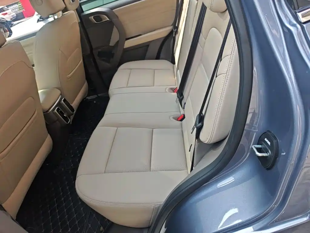 Haval Big Dog — фото 17