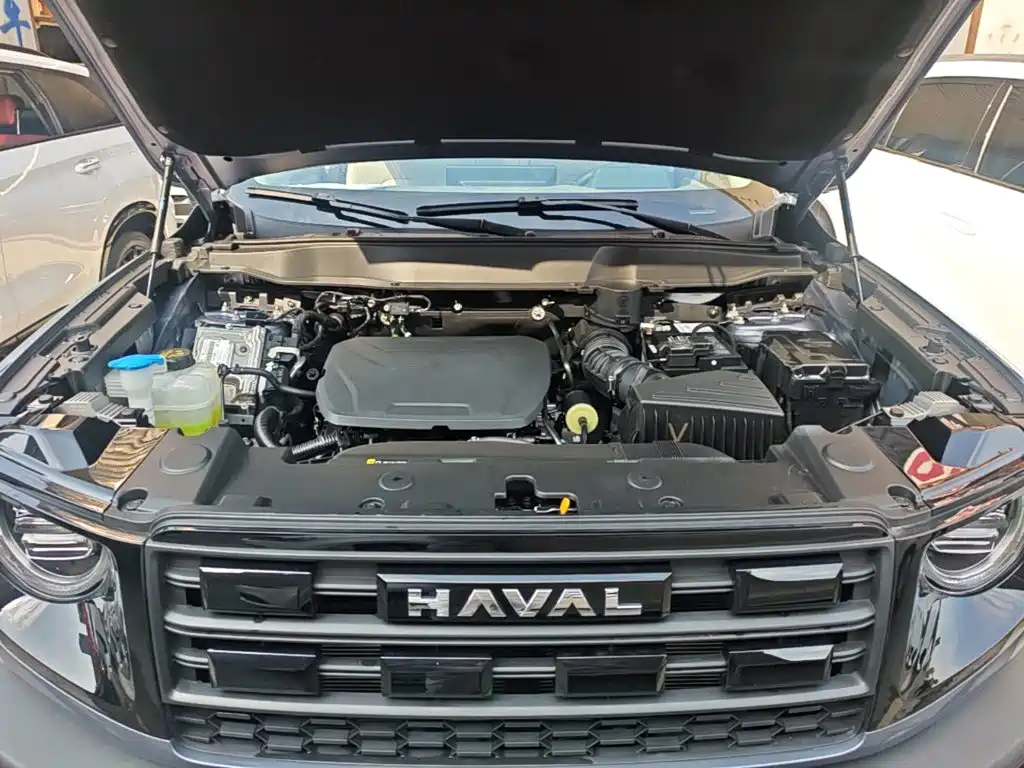 Haval Big Dog — фото 20