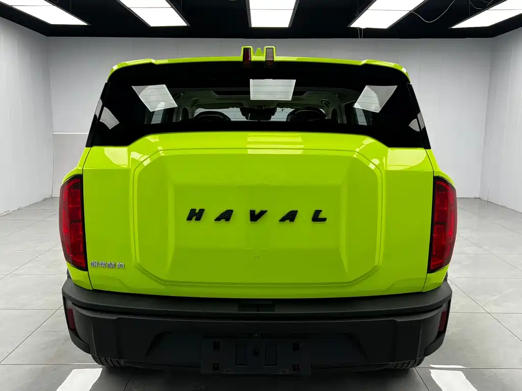Haval Cool Dog — фото 5
