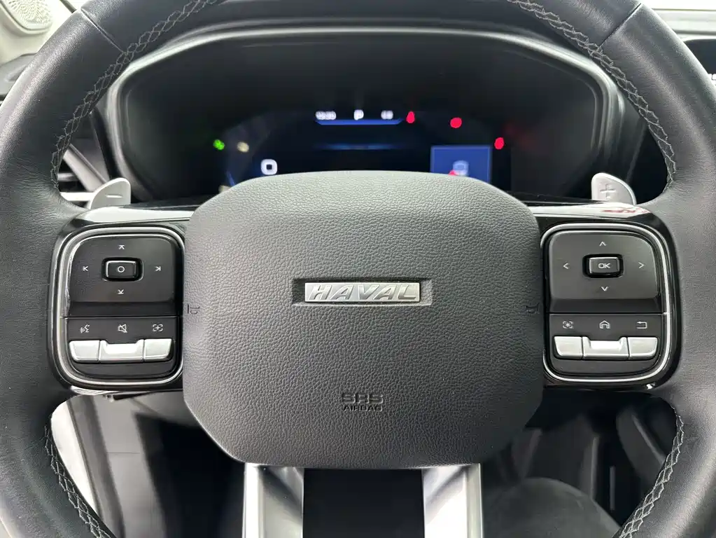 Haval Cool Dog — фото 14