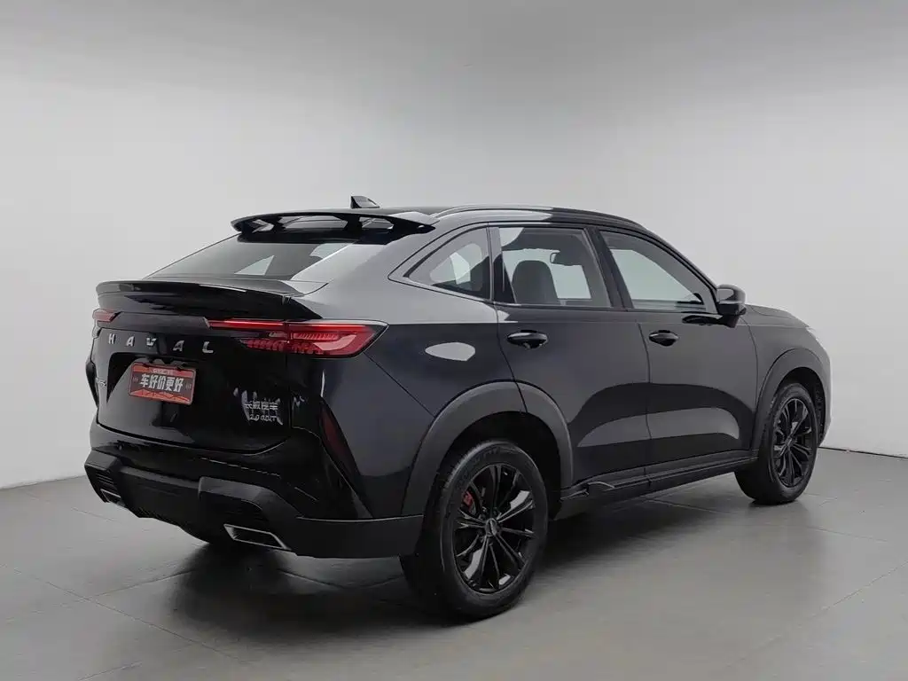 Haval H6S — фото 2
