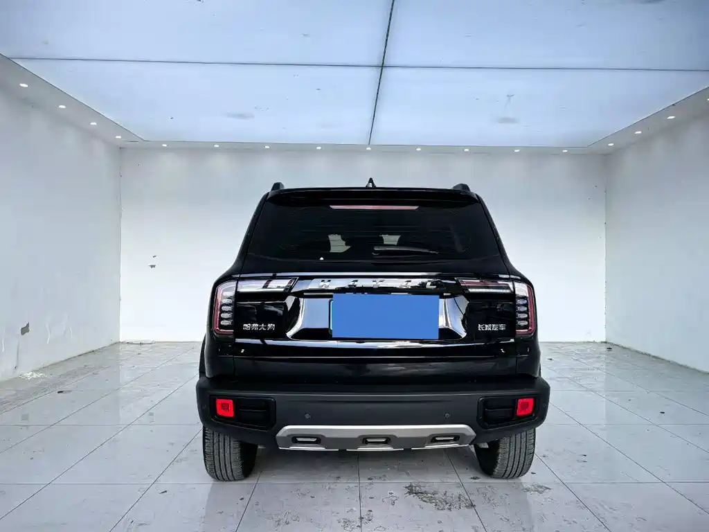 Haval Big Dog — фото 11