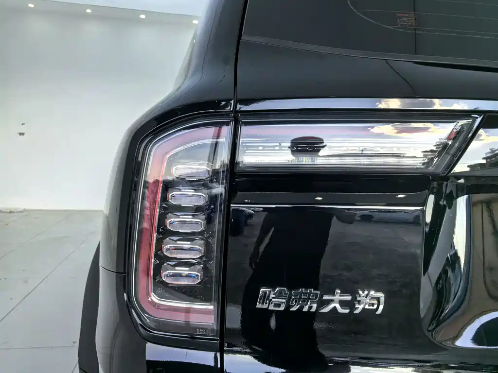 Haval Big Dog — фото 14