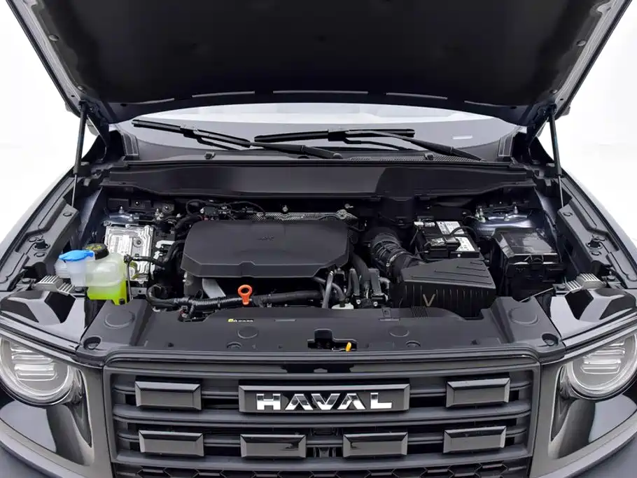 Haval Big Dog — фото 10