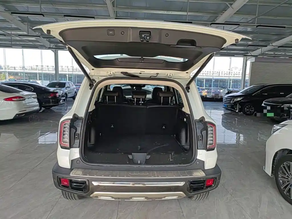 Haval Big Dog — фото 19