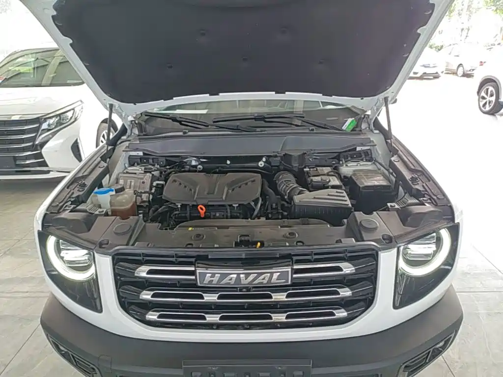 Haval Big Dog — фото 20