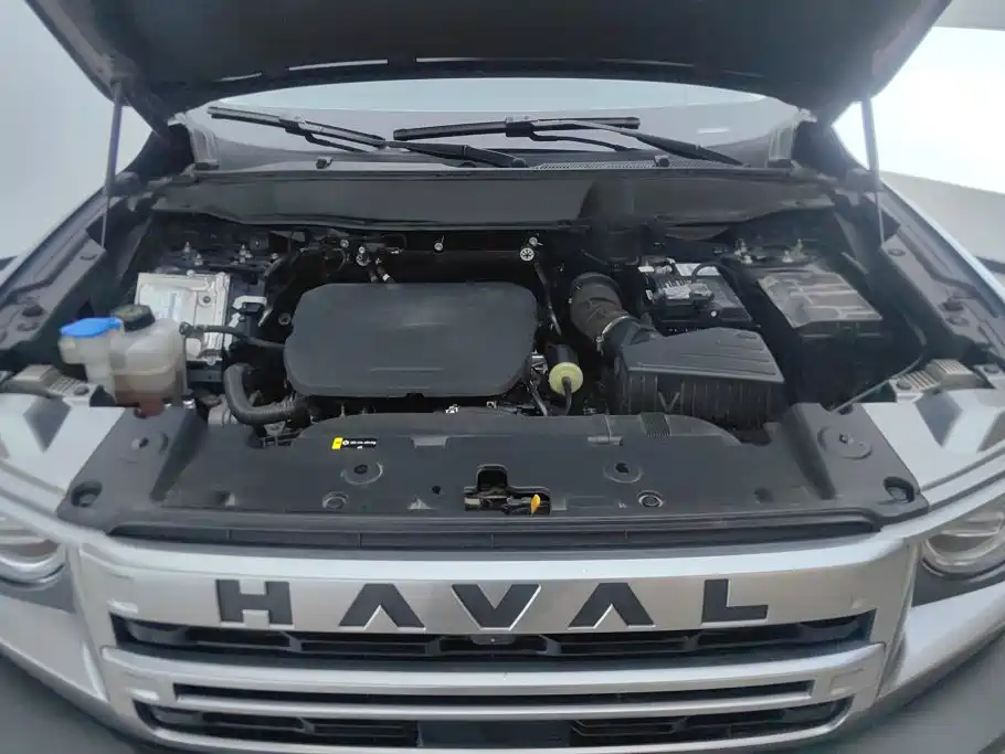 Haval Big Dog — фото 10
