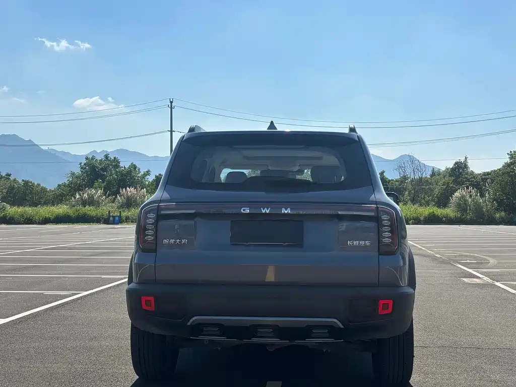 Haval Big Dog — фото 17