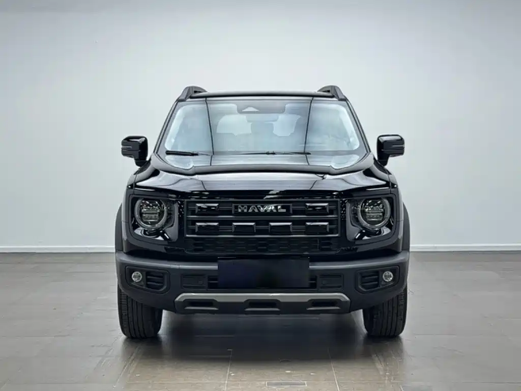 Haval Big Dog — фото 2
