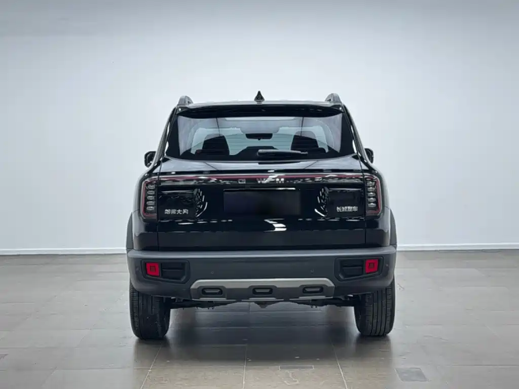 Haval Big Dog — фото 6