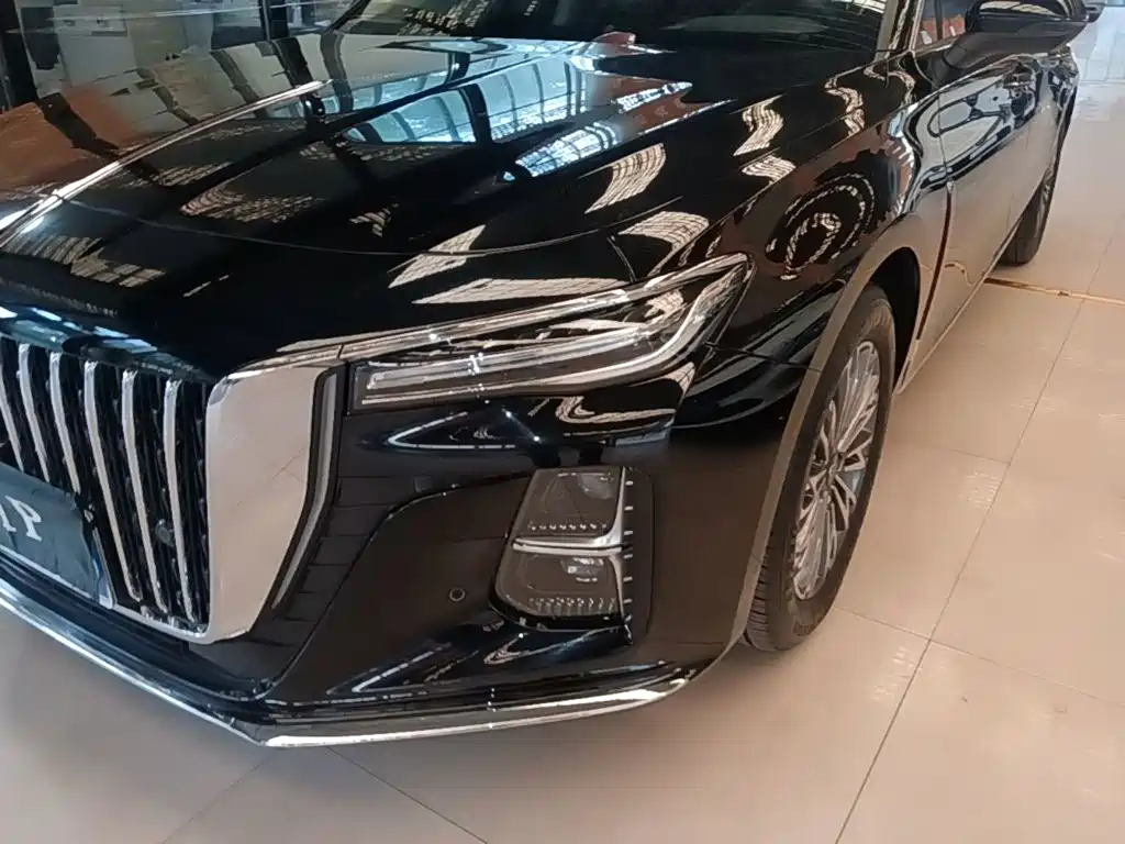 Hongqi Hongqi H5 — фото 24
