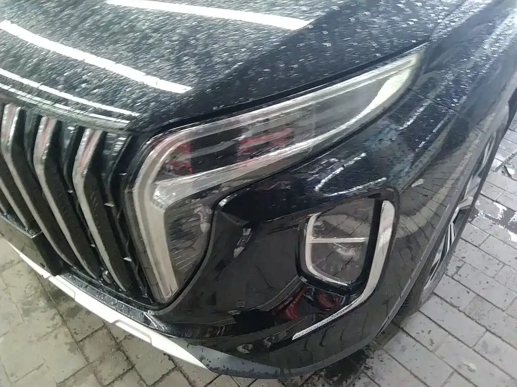Hongqi Hongqi HS7 — фото 18