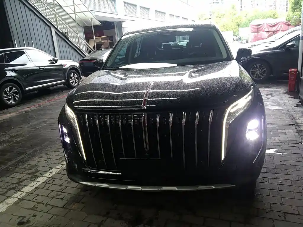 Hongqi Hongqi HS7 — фото 3